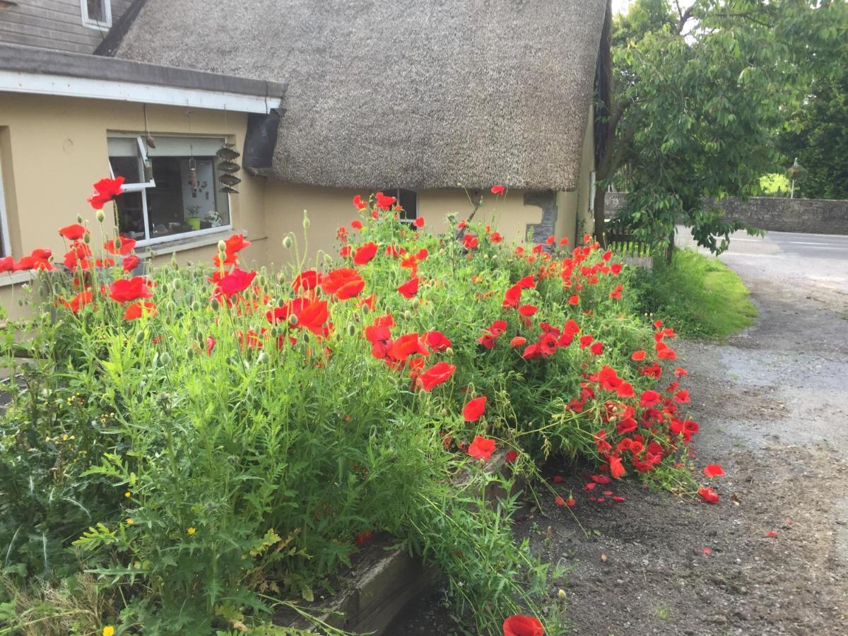 Bridge Cottage Killare Exterior foto